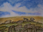 Dartmoor Outcrops