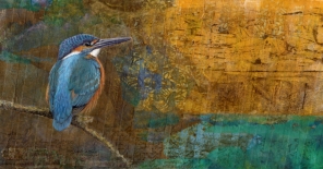 Kingfisher