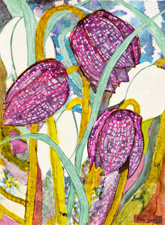 Fritillaries